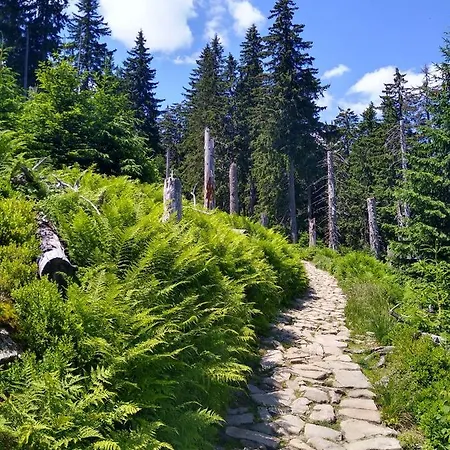 Alpesi faház Koledowka Rest Zawoja
