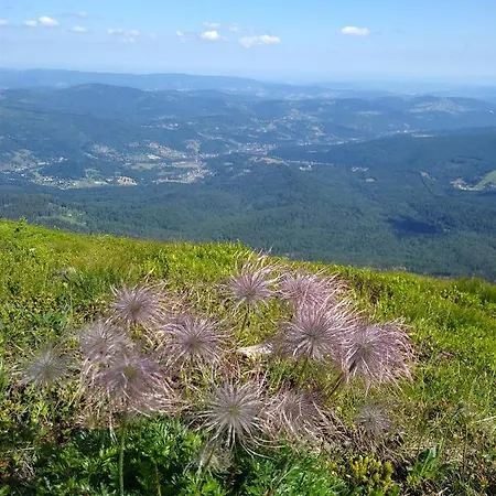 Koledowka Rest Alpesi faház *