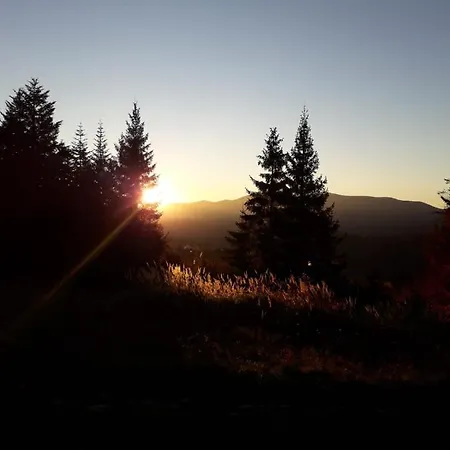 Koledowka Rest * Zawoja