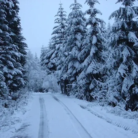 Koledowka Rest Zawoja