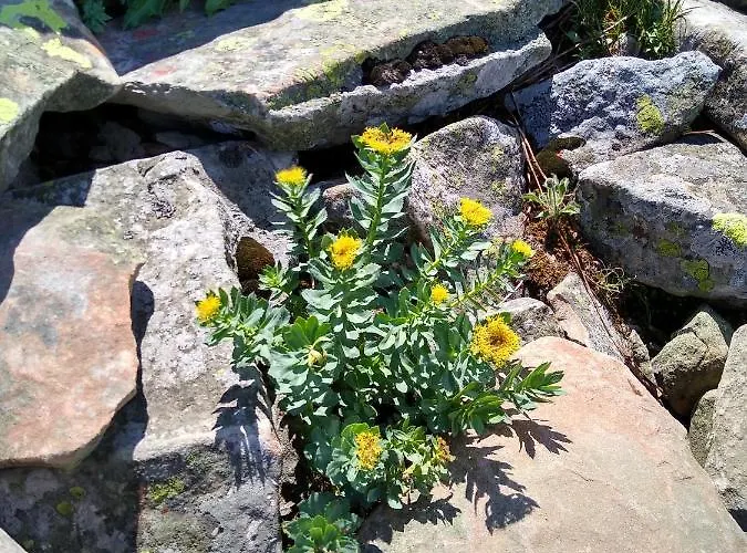 Chalet Koledowka Rest *