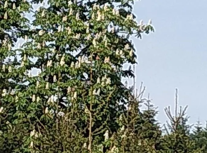 Koledowka Rest Chalet Zawoja