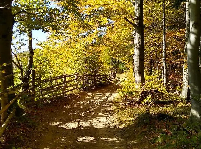 Chalet Koledowka Rest Zawoja