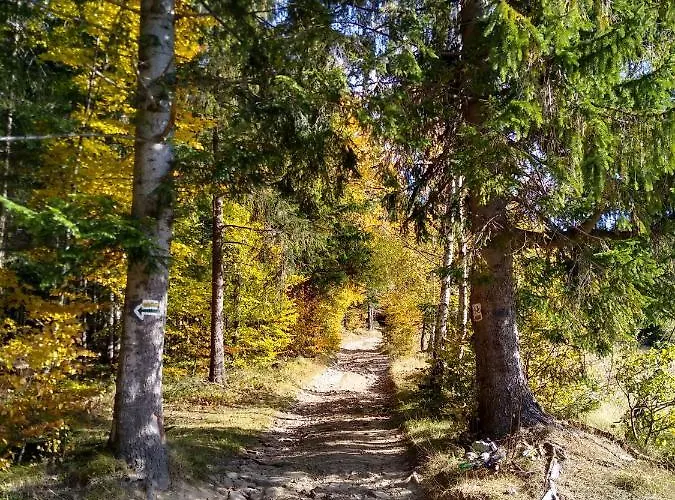 Koledowka Rest * Zawoja